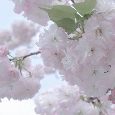 温县FurryQQ群介绍